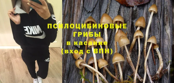 2c-b Богородицк
