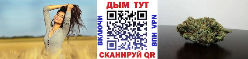 цены наркотик  Кольчугино  Бошки Шишки SATIVA & INDICA 